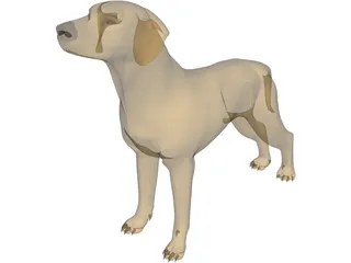 Dog Braco 3D Model preview