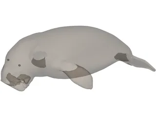 Dudongo 3D Model preview
