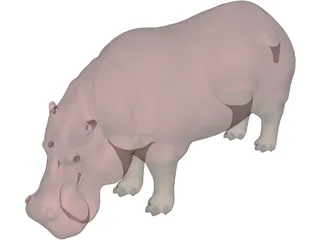 Hippopotamus 3D Model preview