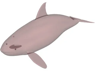 Whale Killer Female 3D Model preview