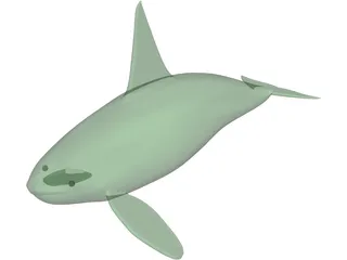 Whale Killer Male 3D Model preview