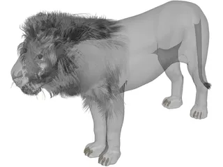 Lion 3D Model preview