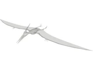 Pteranodon Ingens 3D Model preview