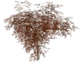 Cherry Tree 3D Model preview