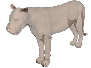 Lioness 3D Model preview