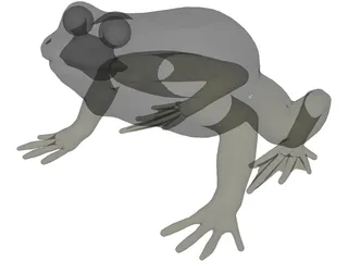 Frog 3D Model preview