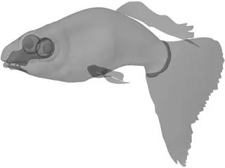 Guppy 3D Model preview