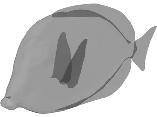 Amblyrhyncotes 3D Model preview