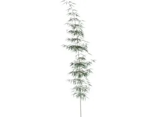 Bamboa 3D Model preview