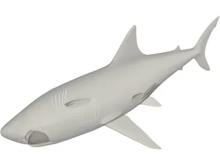 Shark White Male 3D Model preview