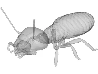 Termite 3D Model preview