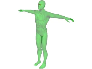 Swimmer 3D Model preview