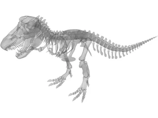 Tyrannosaurus Rex Skeleton 3D Model preview