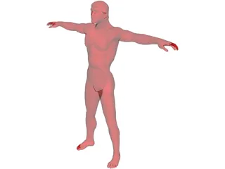 Man 3D Model preview