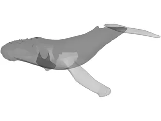 Whale Humpback 3D Model preview