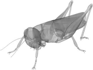 Grasshopper 3D Model preview