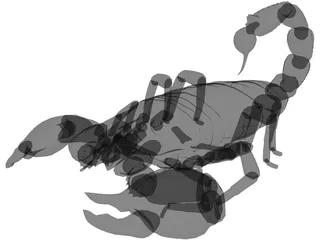 Scorpion 3D Model preview