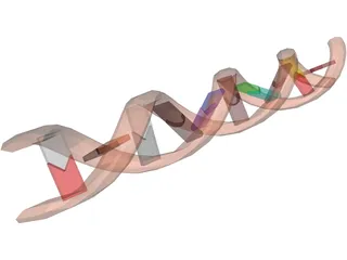DNA Molecule 3D Model preview