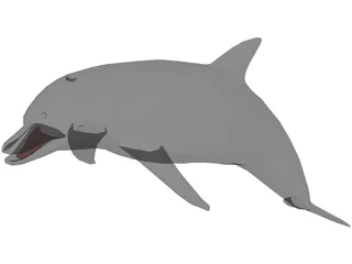 Dolphin 3D Model preview