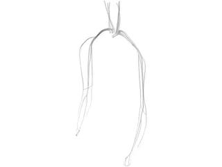 Veins and Arteries Upper 3D Model preview