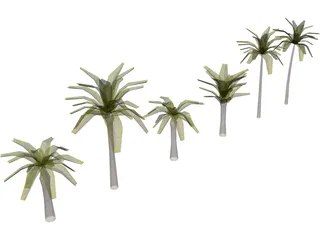 Palm Collection 3D Model preview