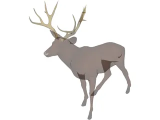 Deer Mule 3D Model preview
