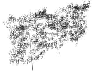 Hedge 3D Model preview