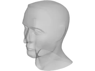 Head Male 3D Model preview