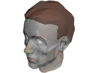 Face Muscles And Head 3D Model preview