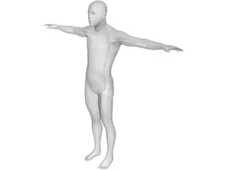 Human Body Male 3D Model preview