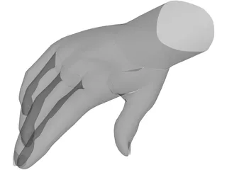 Hand Male 3D Model preview