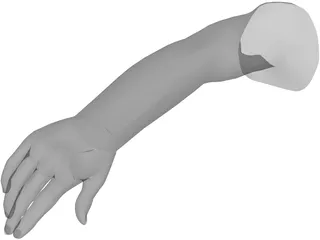 Arm Male 3D Model preview