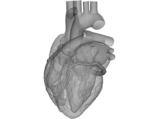 Heart 3D Model preview