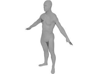 Man European 3D Model preview