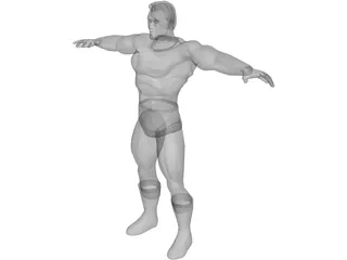 Hero 3D Model preview