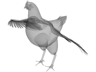 Chicken 3D Model preview