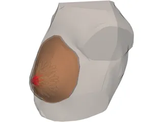 Breast 3D Model preview