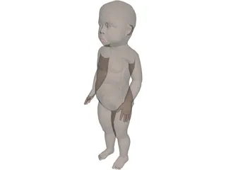 Infant 3D Model preview