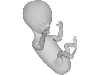 Baby Fetus Infant 3D Model preview