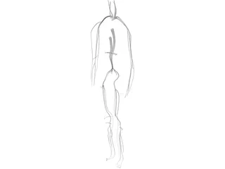 Circulatory System 3D Model preview