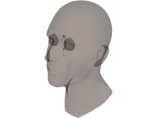 Head Male 3D Model preview