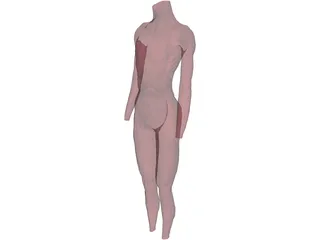 Surface Muscles 3D Model preview