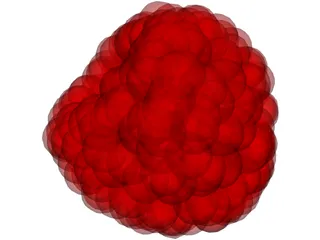 Raspberry 3D Model preview