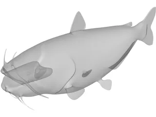 Blue Catfish 3D Model preview
