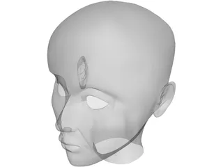 Human Head 3D Model preview
