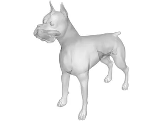 Dog Boxer 3D Model preview