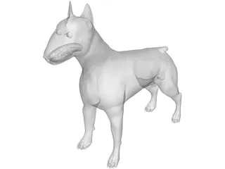 Dog Bull Terrier 3D Model preview