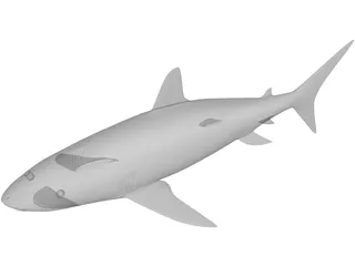 Shark 3D Model preview