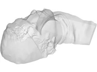 Face Human Digitalized 3D Model preview