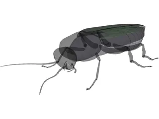 Firebeetle 3D Model preview
